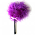 Accessory bdsm feather duster pink and purple 
 