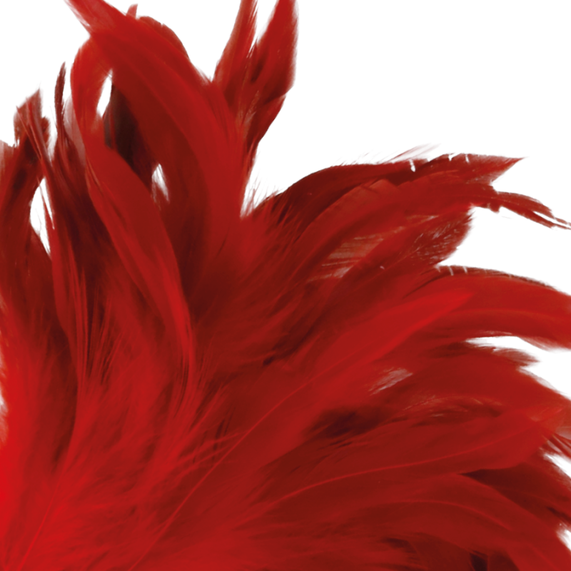 Accesorio bdsm pluma estimulante 24cm rojo oscuro
 