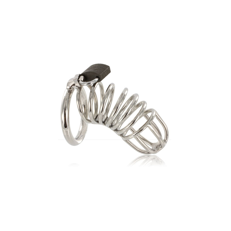 Metal chastity ring and penis ring
 