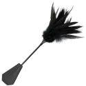 Feather duster bdsm with threatening feathers
Erotic feather dusters