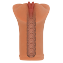 Paulina Realistic Vagina Masturbator - Ultra-Soft TPR Male StrokerMale Masturbators