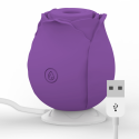 Stimulateur clitoridien à aspiration Mía Rose édition limitée violetStimulateurs sans contact