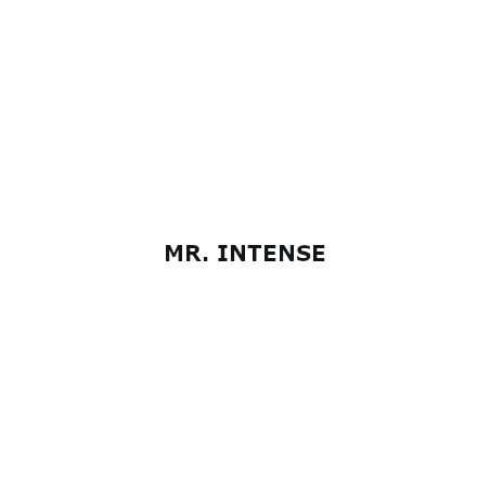 MR. INTENSE